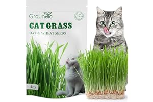 Groundio Cat Grass Seeds, 4 Oz, Non-GMO Wheat Cat Grass Seeeds & Oat Seeds Mix, High Germination Cat Grass Seeds Grown in USA for Indoor Cats