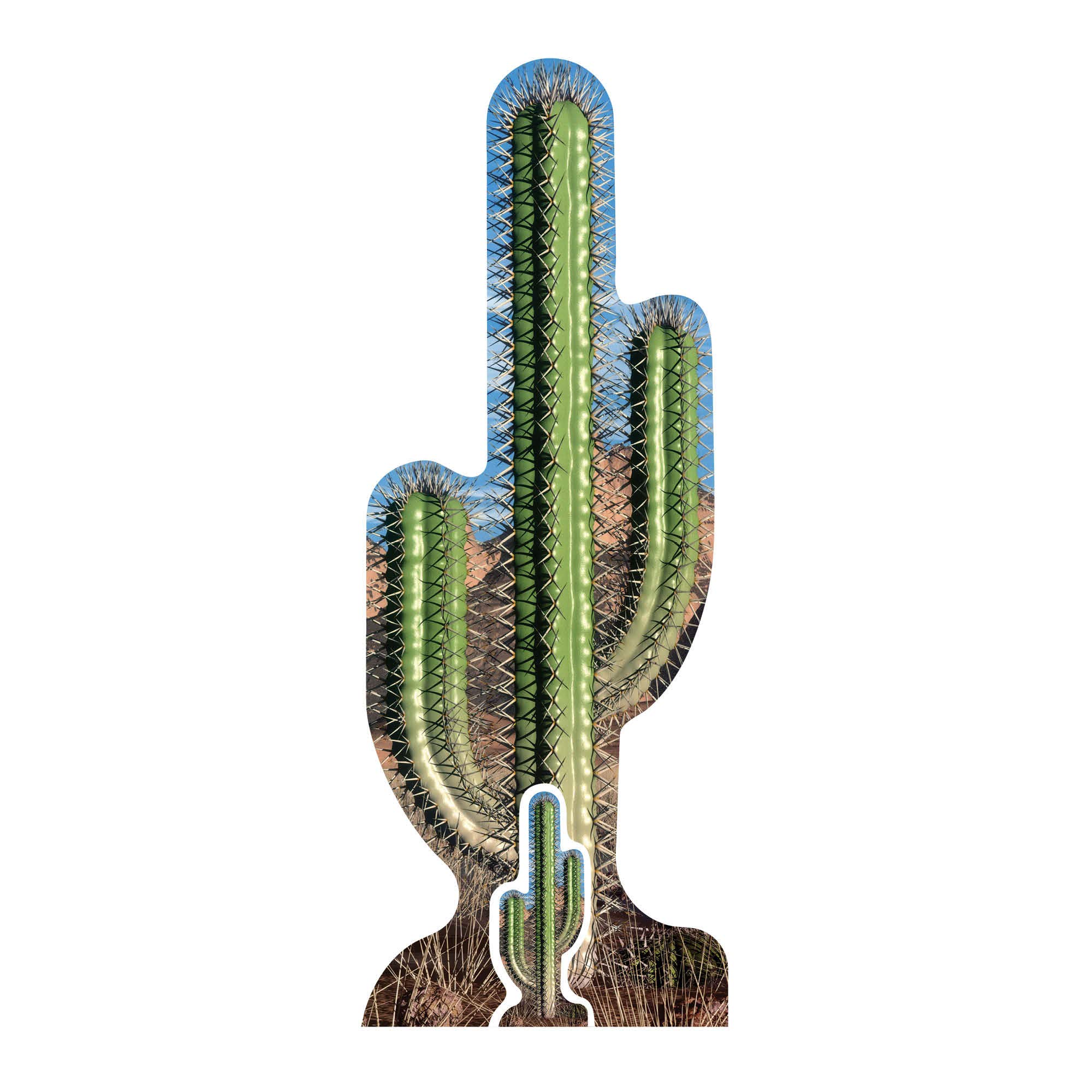 STAR CUTOUTS Cut Out of Cactus Single