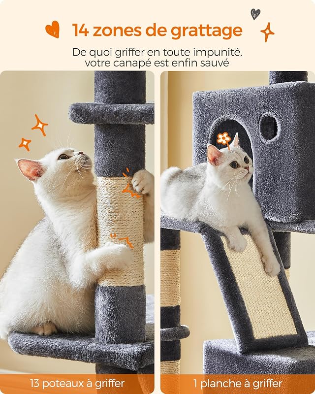 Arbre à Chat, 203,5 cm, 2 Plateformes, 2 Grottes, Panier, Hamac
