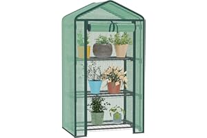 TianC beauty Greenhouse for Indoor Outdoor, Small Plastic Plant Green House 3-Tier Rack Stand Portable Greenhouses with Durable PE Cover for Seedling