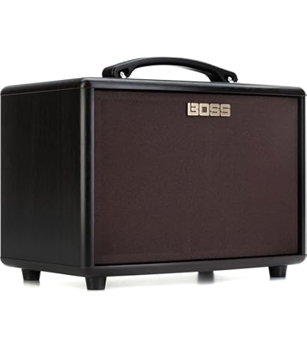 LR Baggs Para Acoustic DI : Amazon.ca: Musical Instruments