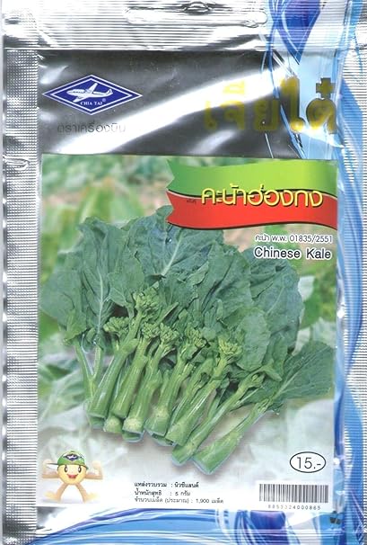 AGROBITS 3G 1100 Semillas Plan de vegetales chinos Kal tailandesa ...