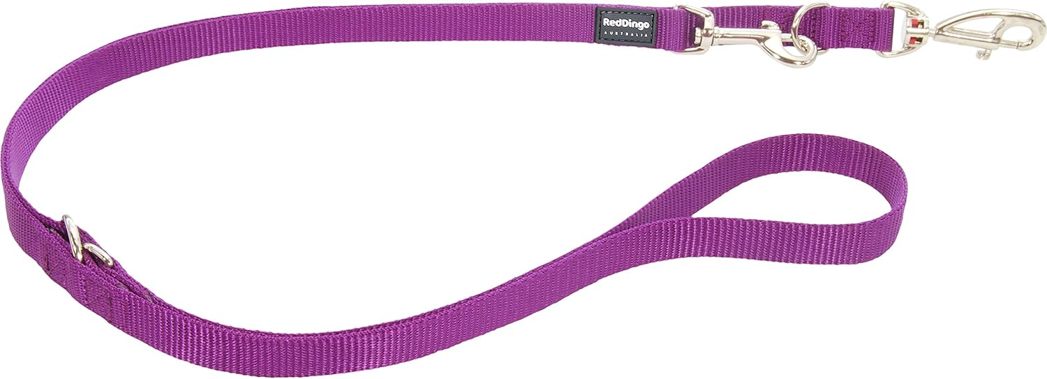 Red Dingo Multi-Purpose Dog Lead, Small, Purple