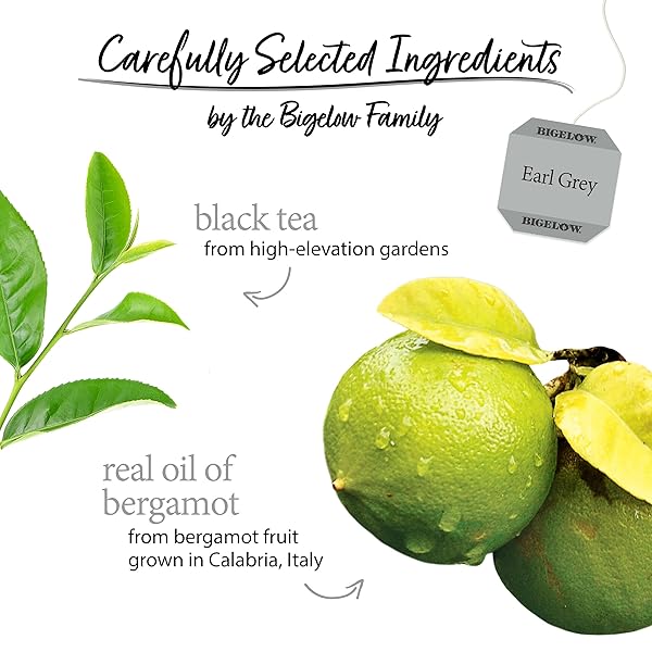 BIGELOW TEA EARL GREY BLACK TEA, CAFFEINATED TEA, 100 COUNT BOX (PACK OF 1)