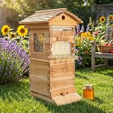 Bee hive,Starter Kit Include 4 Auto Frame Natural Wood Bee Hives Boxes | with Observation Chamber,Beehives and Supplies Starter Kit for Beekeepers
