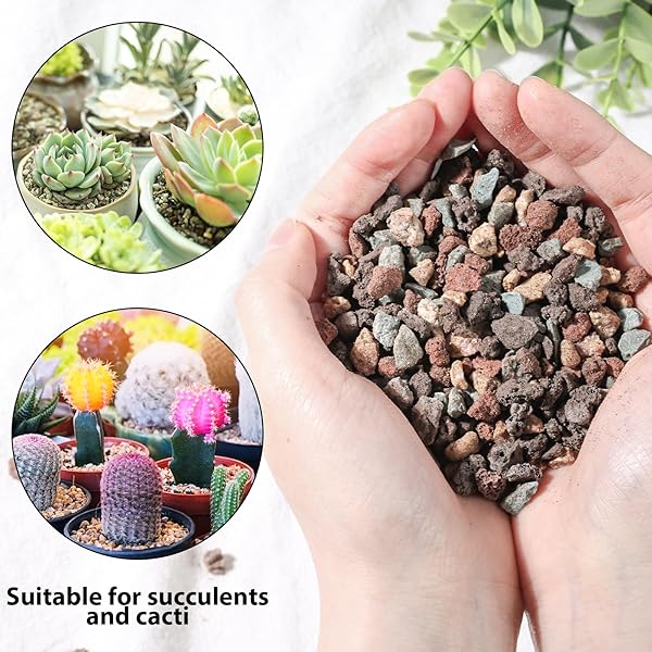 JOHOUSE 2LB HORTICULTURAL LAVA ROCKS, MIX ROCKS FOR PLANTS DECORATIVE PEBBLES FOR VASE FILLERS GARDENING TOP DRESSING CACTUS POTS INDOOR PUMICE POTTING SOIL AMENDMENT PLANT DRAINAGE