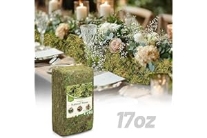 Alphatool 17oz Large Pack Natural Green Moss for Crafts - Bulk Moss for Plants Indoor, Artificial Fairy Gardens, Mosswall, Glass Terrariums, Filling Fake Plants, Home Decoration, Professional DIY Use