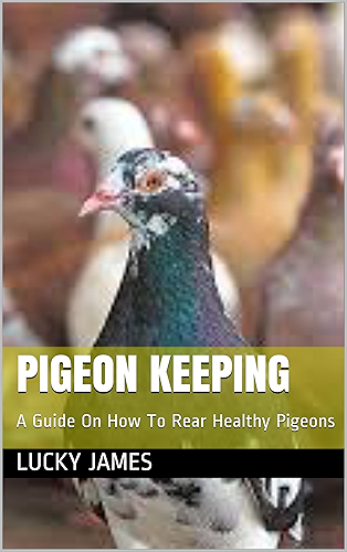 Download PIGEON KEEPING: A Guide On How To Rear Healthy Pigeons (English Edition) PDF