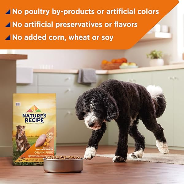 NATURE’S RECIPE DRY DOG FOOD, CHICKEN, BARLEY & BROWN RICE RECIPE, 4 LB. BAG