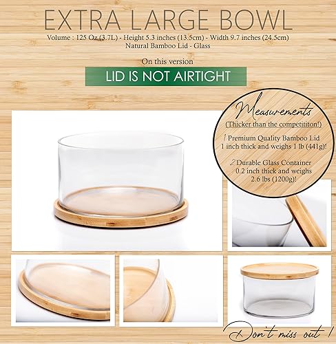 25DOL XXL Extra Large Clear Glass Salad Bowl Dish【Hand Blown - Main Image