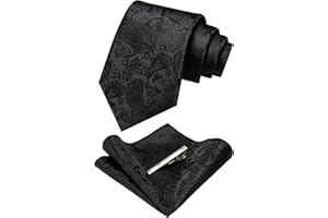 JEMYGINS Mens Solid Color Paisley Necktie and Pocket Square with Tie Clip Sets