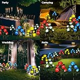 HELESIN Solar Flower Lights 2 Pack Red Rose Garden Stakes IP65 Waterproof view 7