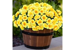 HyeFlora Artificial Fake Spring Flowers Plants for Outdoor Outside, Faux Silk Yellow Camellia UV Resistant Realistic for Planter Front Door Porch Patio Balcony Decoration, 3 Bundles