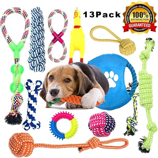 juegos de inteligencia para perros amazon