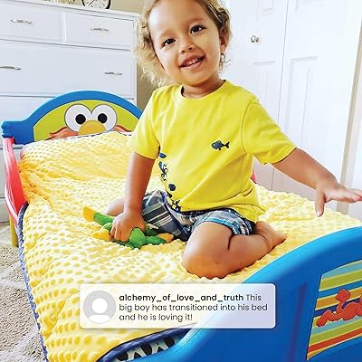 Buy Delta Children Plastic Toddler Bed Sesame Street Online In Indonesia B0057gu07k