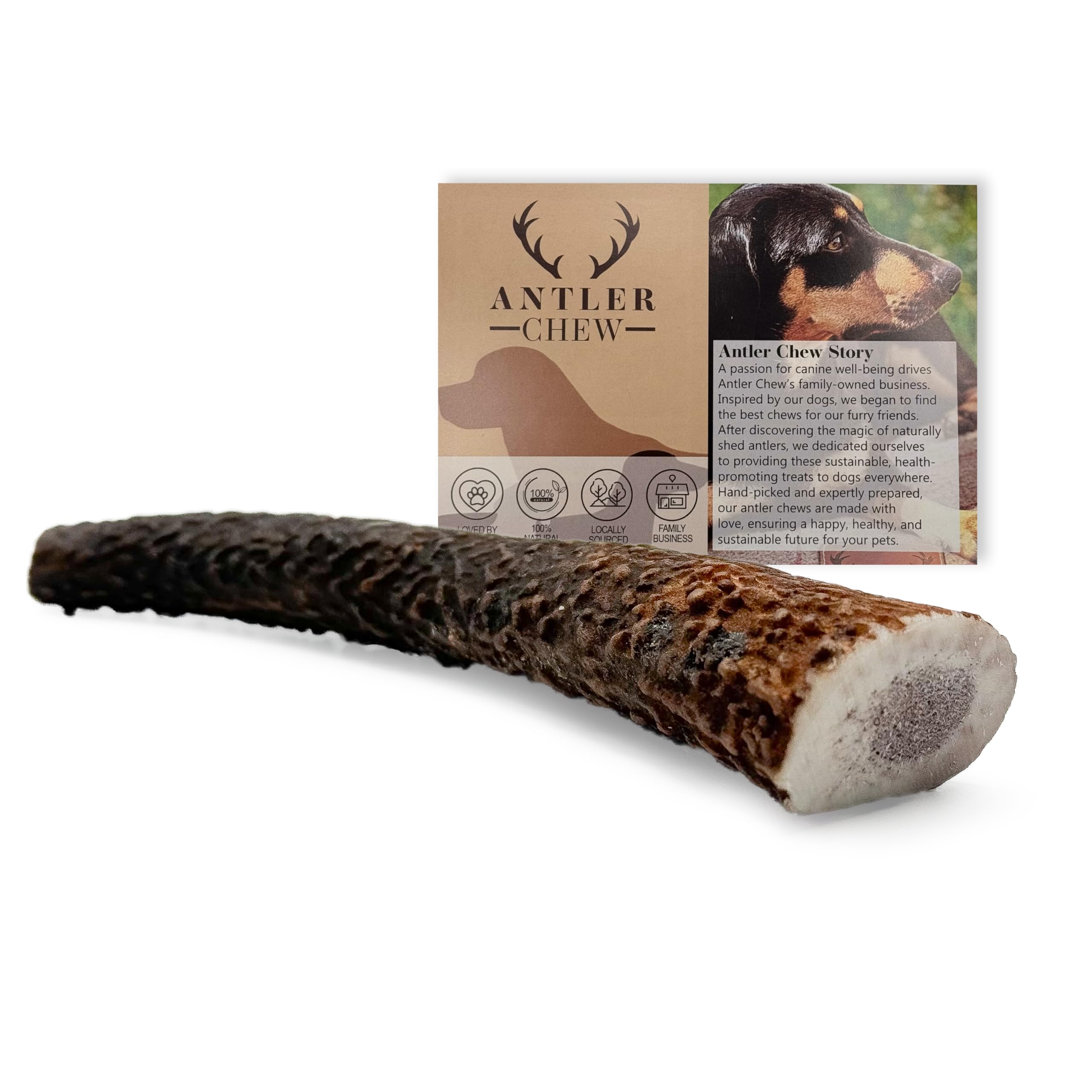 Antler Chew – Red Deer Antler Dog Chew Small (50–70g) | Whole Natural Long-Lasting Odourless Chew | Non-Splintering, Grain-Free, Sustainably Sourced | Dental Support for Puppies & Small Dogs