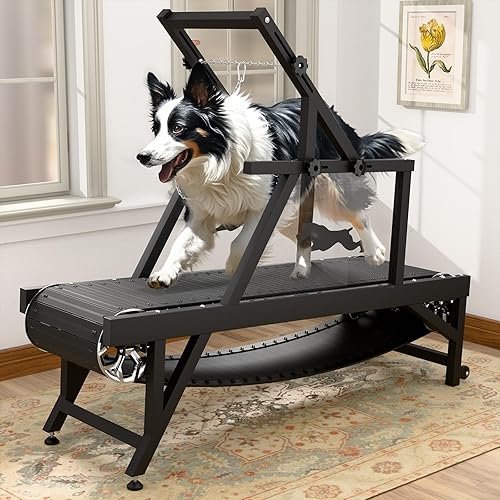 Slat Mill Wooden Dog Treadmill Running Slatmill Best Dog Treadmill