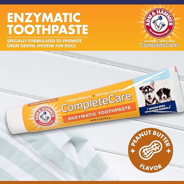 ARM & HAMMER COMPLETE CARE ENZYMATIC DOG TOOTHPASTE VALUE SIZE | 6.2 OZ PEANUT BUTTER FLAVOR ENZYMATIC DOG TOOTHPASTE FOR PUPPIES | GREAT TASTING DOG TOOTHPASTE WITH ARM & HAMMER BAKING SODA