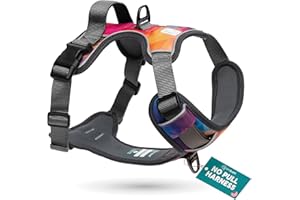 EMBARK PETS Embark Adventure Dog Harness, Reflective Trim No Pull Dog Harness for Large Dogs - Military Grade Nylon, Front Clip with Gel Lined Handle. Soft & Padded Puppy