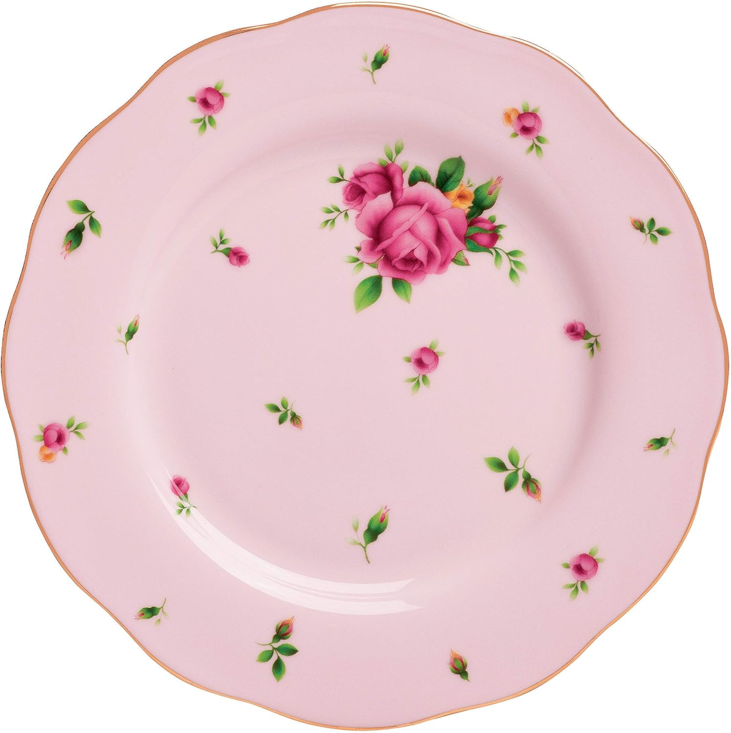 Royal Albert NCRPNK25811 Modern Vintage Side Plate 20cm, Country Roses Pink, Bone China