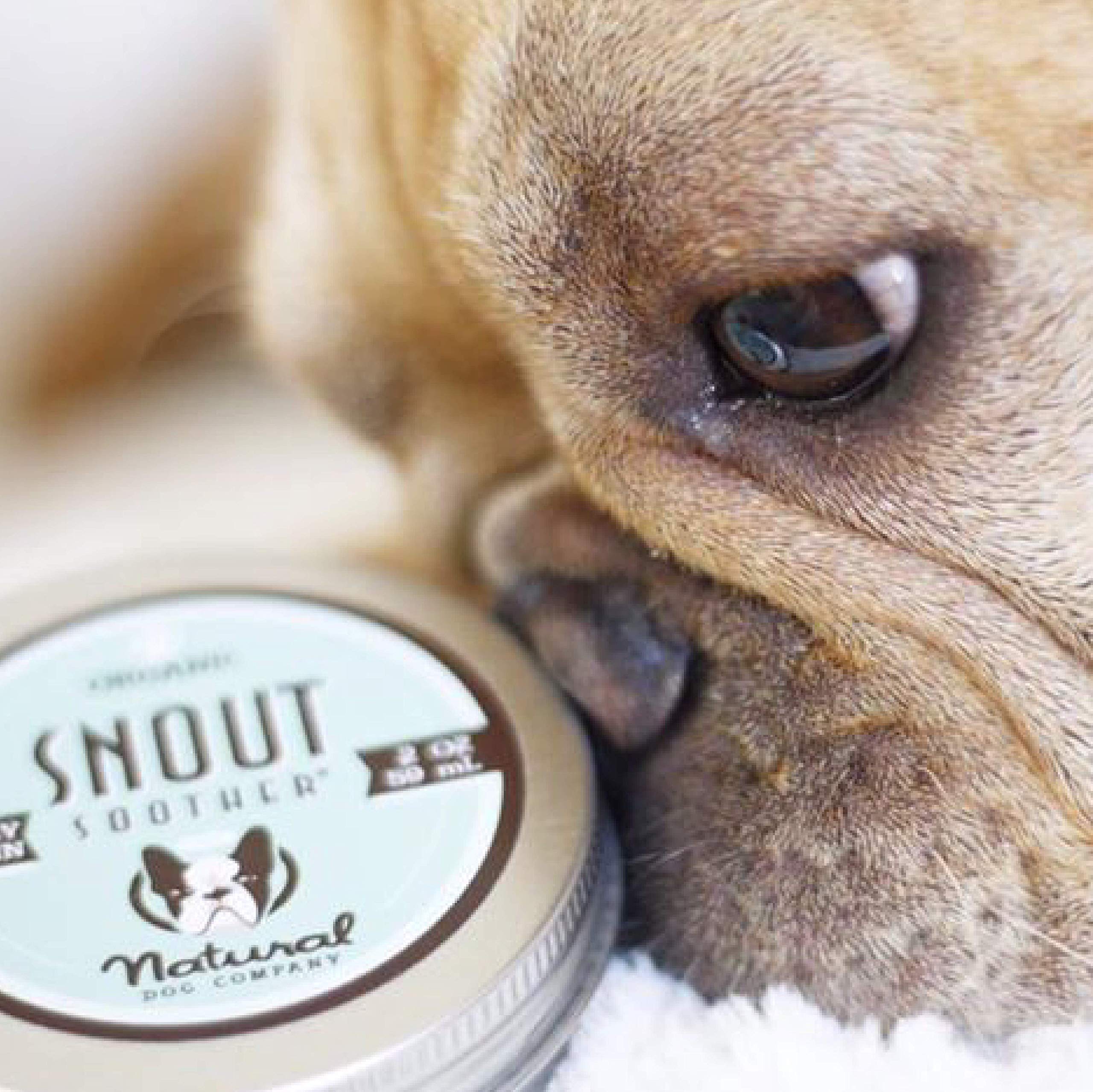 Galleon Natural Dog Company Snout Soother AllNatural Remedy For