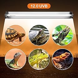 Oiibo T5 UVB Reptile Lighting Combo Kit, Reptile