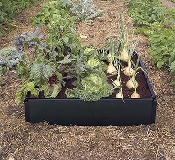 Garland Cama de Cultivo para Verduras, Negro, 98x25x25 cm: Amazon ...
