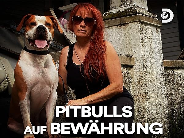 Amazon.de: Pitbulls auf Bewährung - Season 9 ansehen | Prime Video