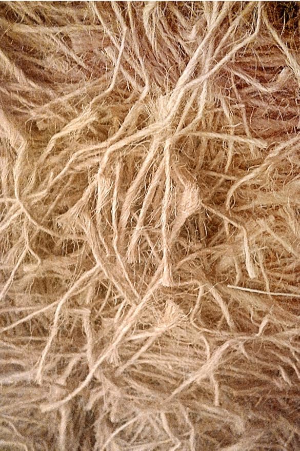 budgie nesting material