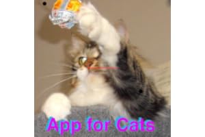 Toy App for Cats