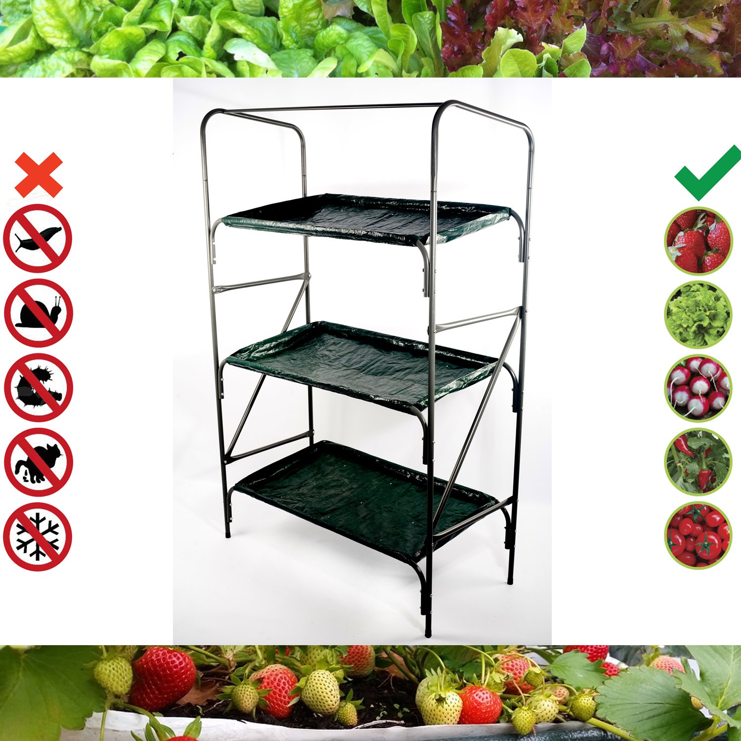 Granja en casa Roamwild - cultive sus propios vegetales caseros ...
