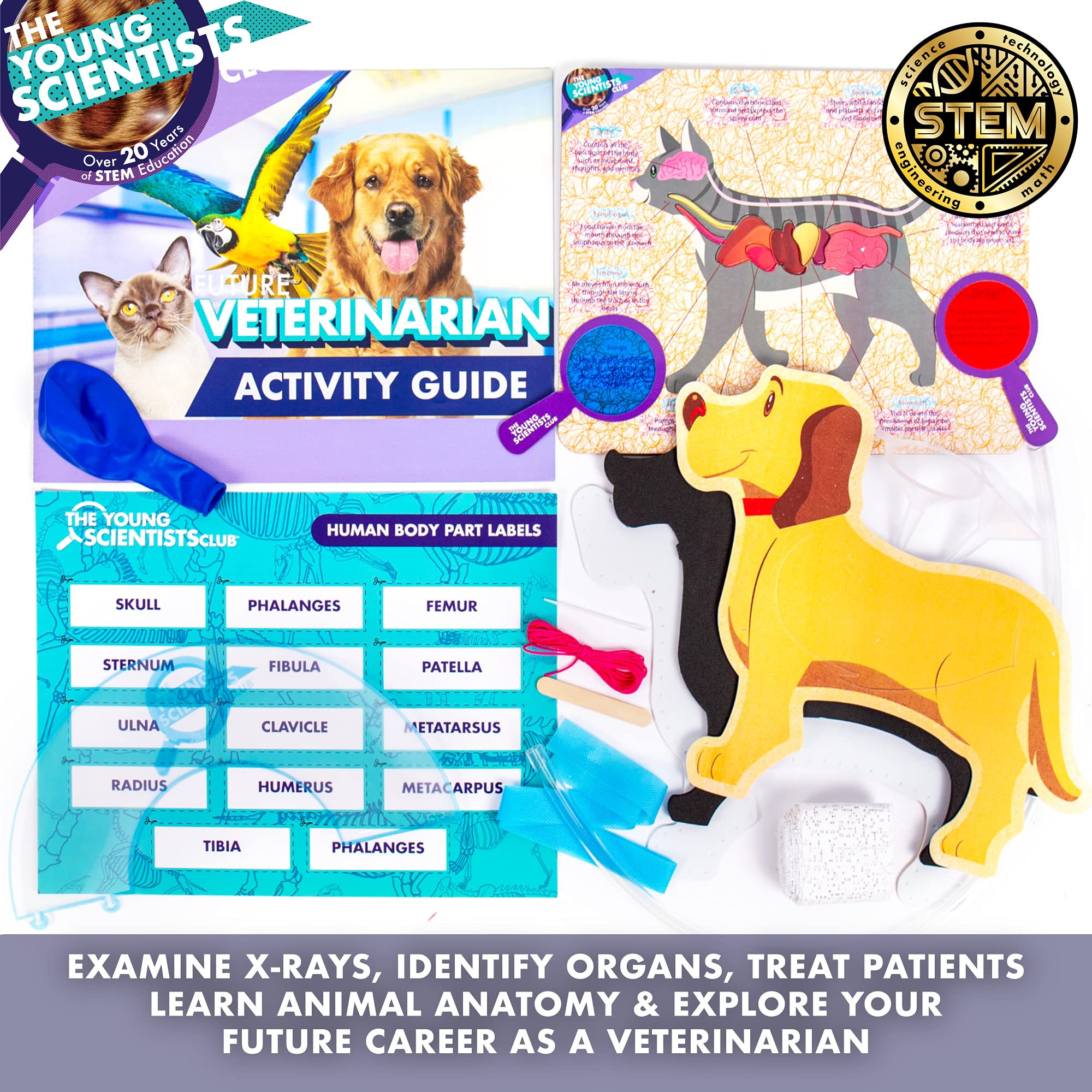 The Young Scientists Club Future Veterinarian Career Kit, 10+ Activities, Includes Interactive Learning Guide, Foam Dog, & Secret Message Viewers, Animal Science Kits for Kids, Gifts, STEM Learning