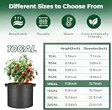 T4U Grow Bags with Handles 10 Gallon Pack of 10 for Tomatoes Potatoes view 2