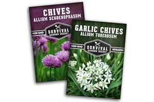 Chive Seed Collection - Common & Garlic Chives – 2 Packets of Non-GMO Heirloom Open-Pollinated Herb Seed Varieties to Plant in Your Vegetable Garden – Seed Saver Instructions - Survival Garden Seeds