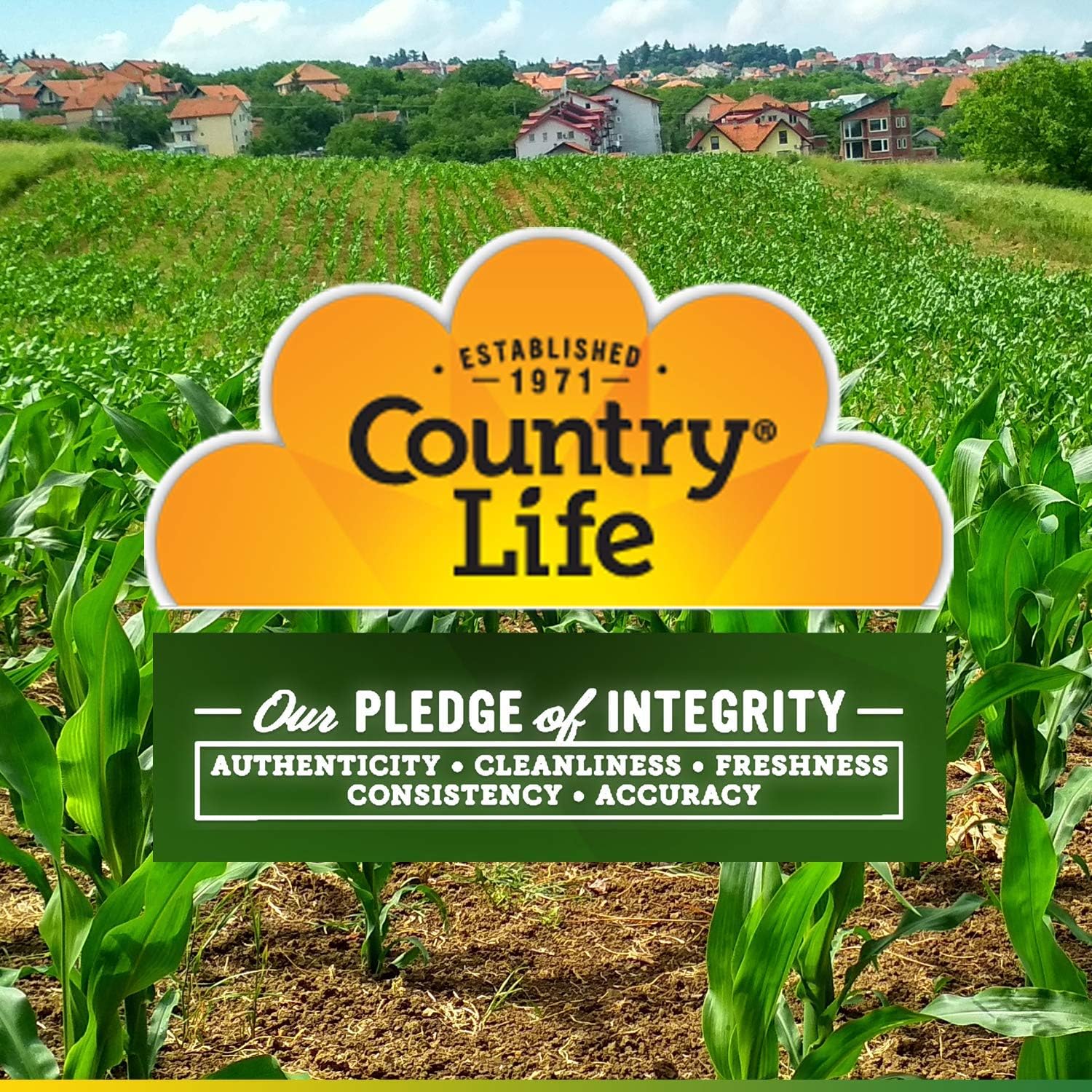 Country Life Vitamin B6 100 mg - 100 Tablets - May Help Support Nervous System - Supports Energy - Gluten-Free: Health & Personal Care