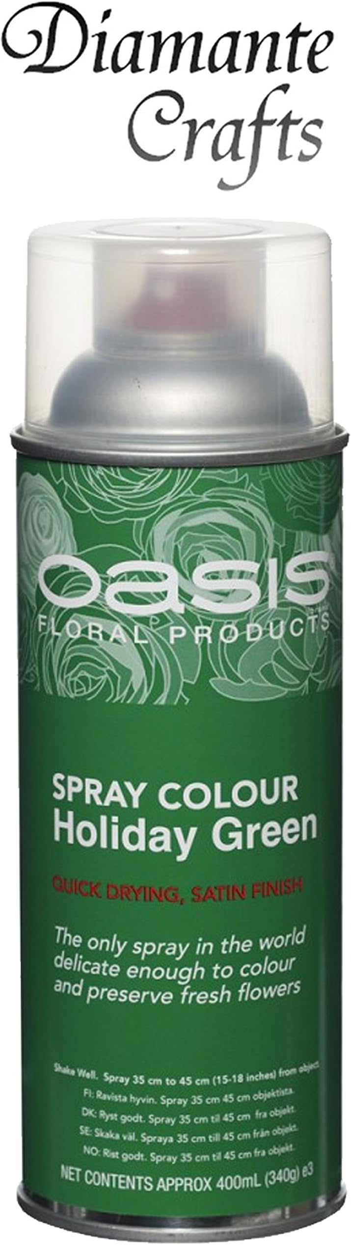 Spray Paint by Oasis 400 ml Cans Fresh Flowers & Crafts Florist - 42 Colours (Holiday Green)