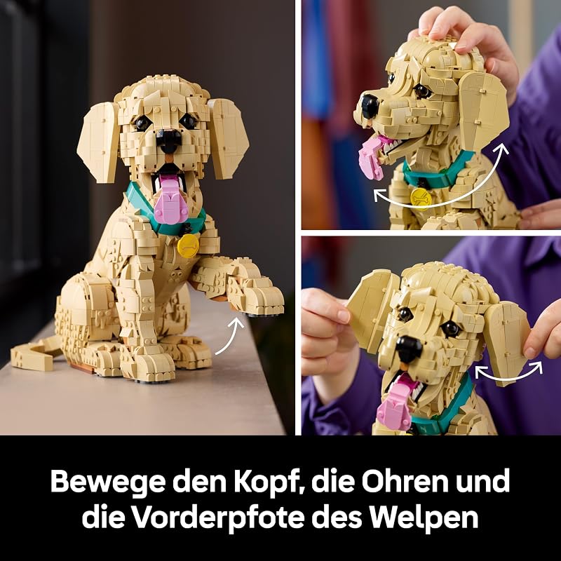 Icons Golden Retriever Welpe 11384