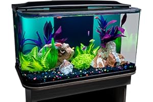 GloFish Glass Aquarium Kit, 20 Gallons, Includes Premium Blue, LED Light Stick & Integrated Filtration, Perfect for Beginners or Seasoned Hobbyists, Seamless, Curved Design
