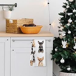 Yorhifa Chihuahua Dog Kitchen Dish