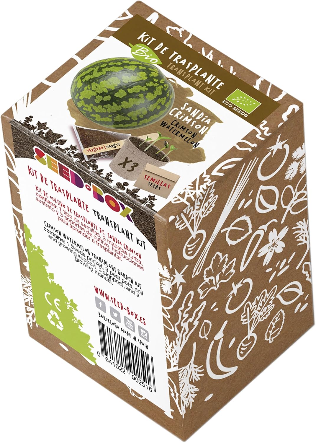 SeedBox KTKPP Huerto Urbano kit trasplante de pipas, para niños ...