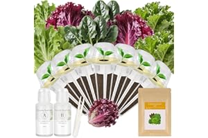 MAJERO Caesar Salad Seed Pod Kit for AeroGarden, idoo, Ahopegarden, MUFGA with Green Romaine Lettuce, Red Romaine Lettuce, Spinach, and American Fast Lettuce - Compatible with All Garden(7-Pod)