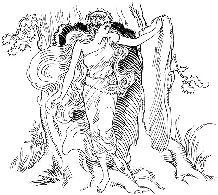 7 cm x 5 cm acrílico imán para nevera de dibujo Dríade: Amazon.es ...