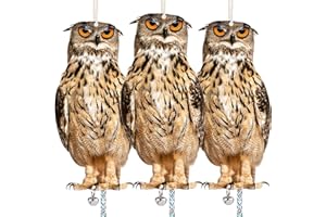 KUNGFU MALL Owl to Keep Birds Away, 3 Pack Bird Scare Owl Fake Owl, Reflective Hanging Bird Decoration, Dual-Side Printed Owl to Keep Birds Pigeon Away from Patio Garden
