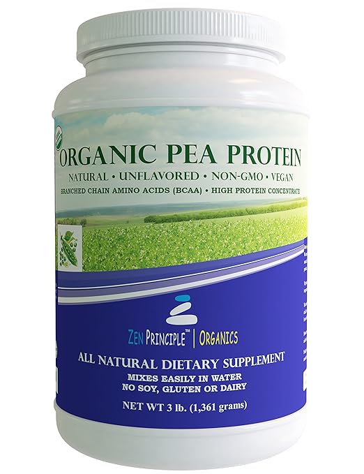 Best Pea Protein Powder (Tasty, Organic Shakes) 2020 Review