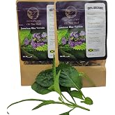 100% Jamaican Blue Vervain organic tea-2Pack-.handpicked in Jamaica- Blue Vervain herb, Jamaica Bush tea, Jamaican Herbs