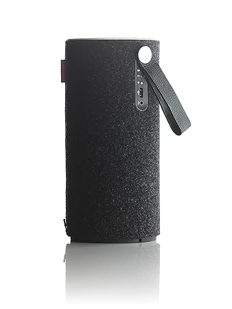 libratone zipp price