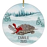 Santa Hat and Scarf Welcome Winter Texas Map Turtle