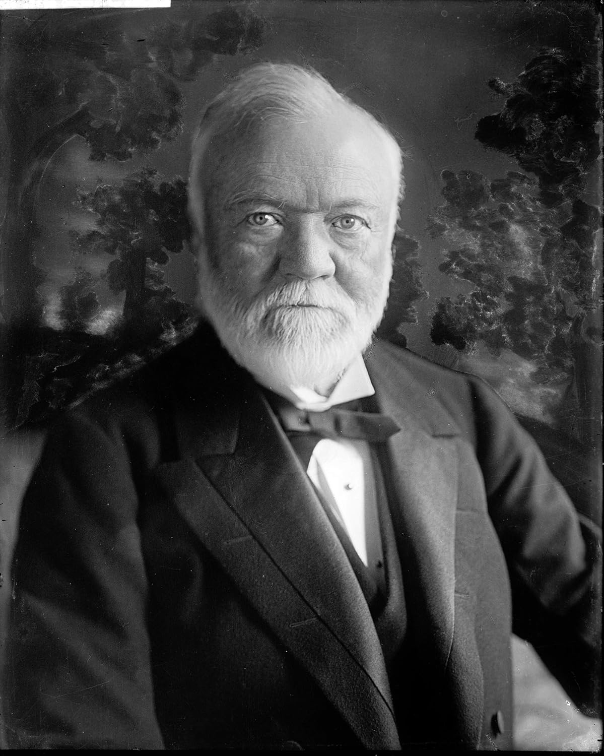 Photographs - Andrew Carnegie Photograph - Historical Artwork from 1905 - (8