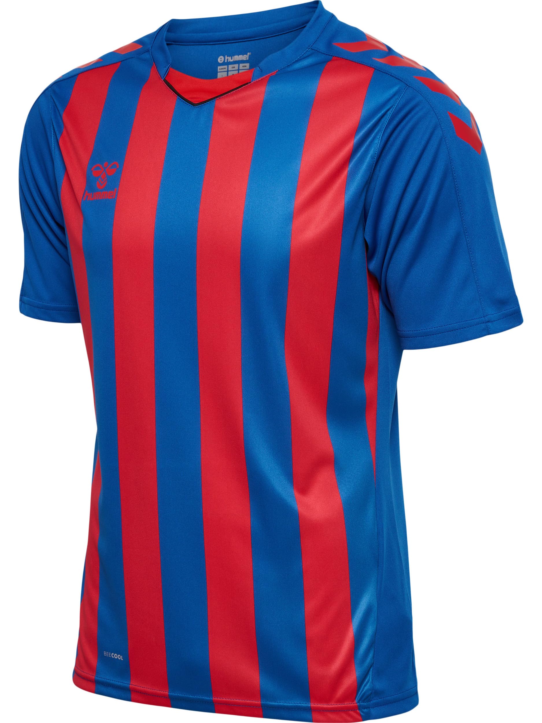 hummel Men's Hmlcore Xk Striped Jersey S/S T-Shirt Blue