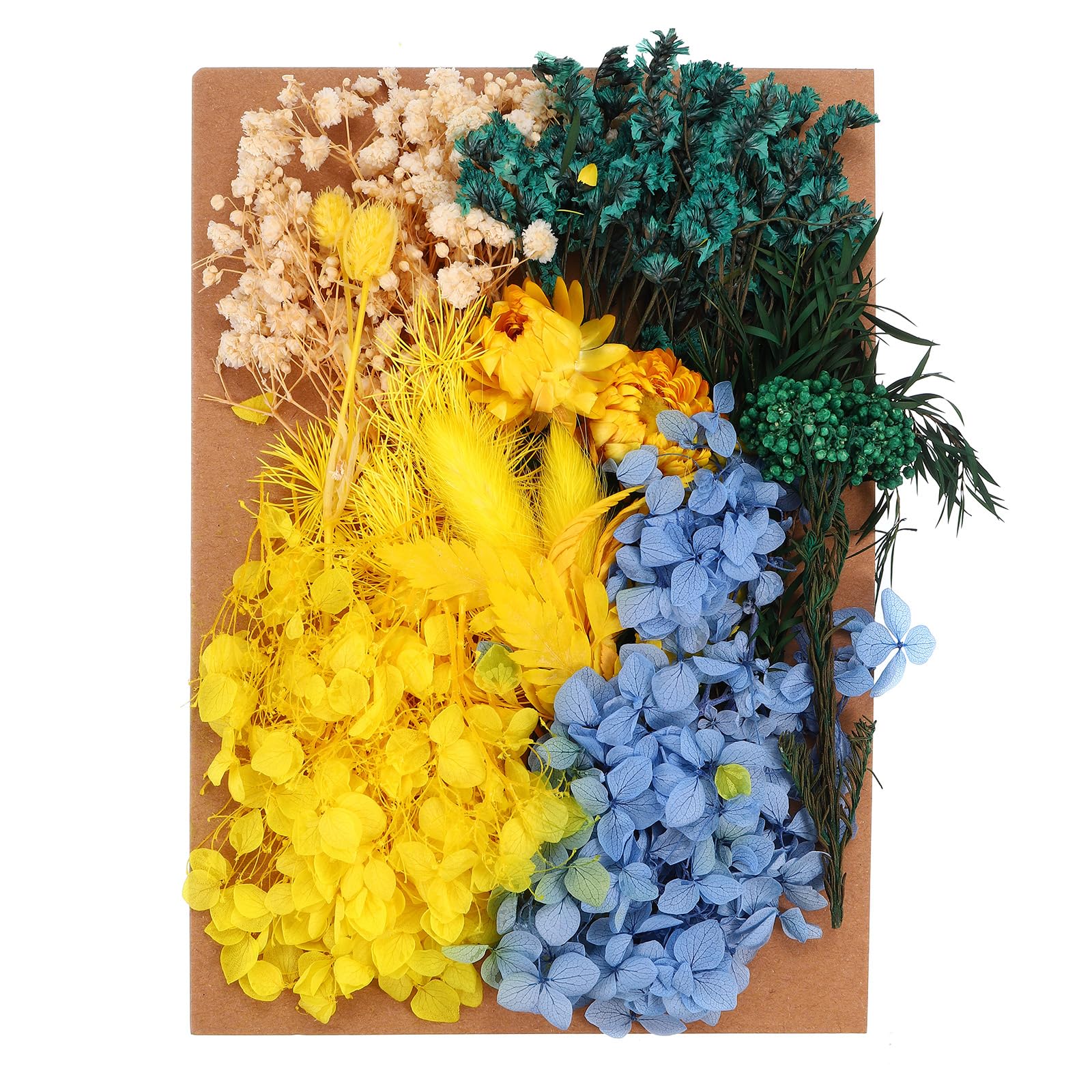 PATIKIL Dried Flowers for Craft, Bulk Natural Pressed Flowers Leaves for Resin Soap Candle Scrapbooking DIY Gift Papermaking, Multicolor